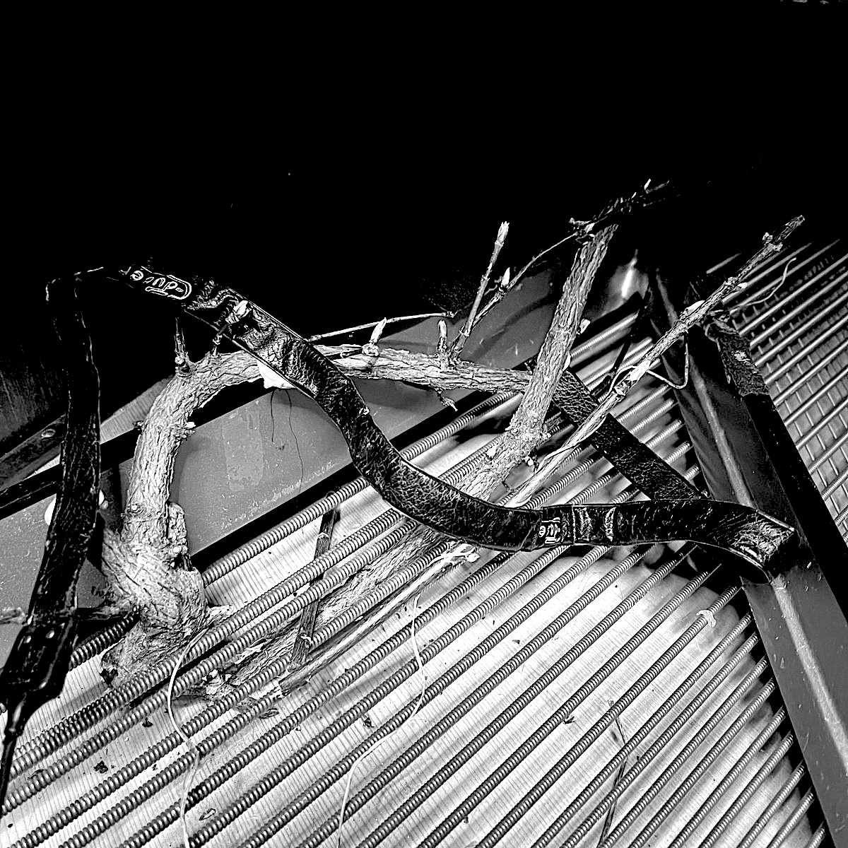 Detail of piano preparation